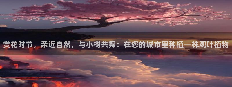 摩根国际娱乐宝