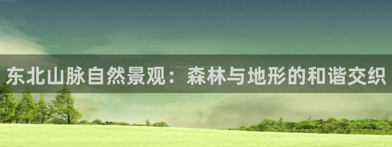 摩根娱乐宝怎样拉下线