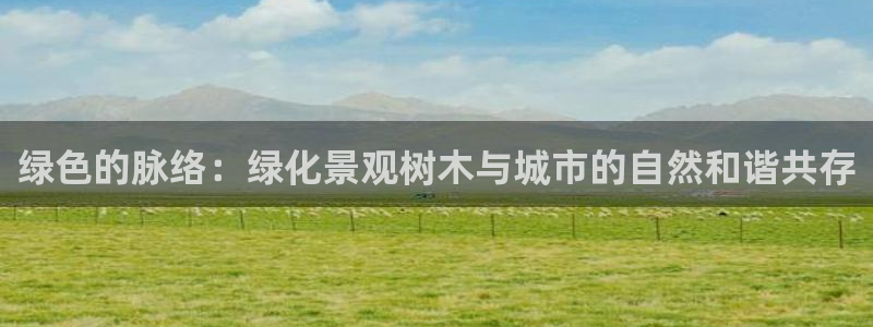 摩根娱乐部