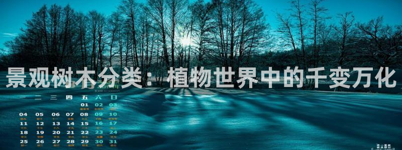 摩根娱乐宝合法吗