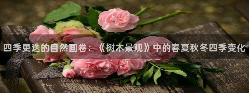 成都摩根娱乐会所