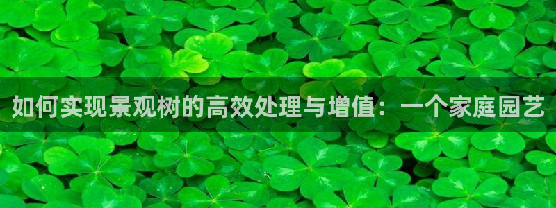 摩根国际娱乐宝书籍