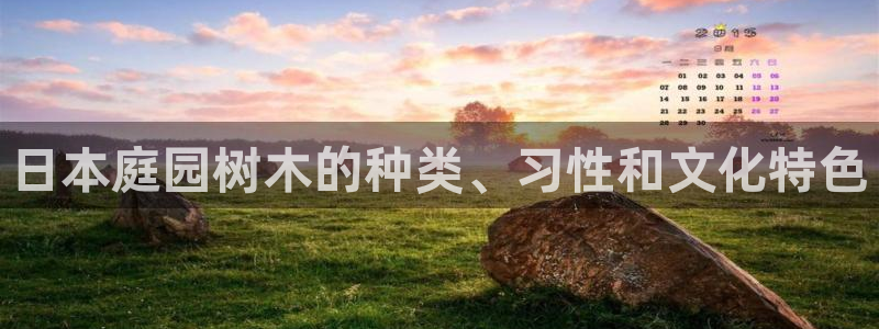 摩根娱乐宝合法吗