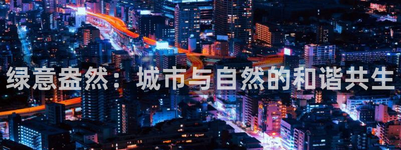 摩根娱乐百家号