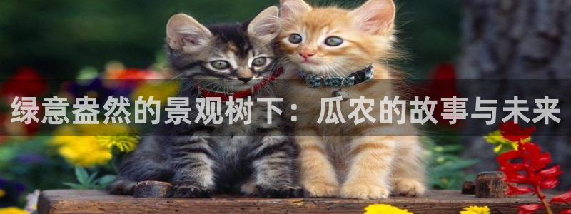 摩根娱乐宝平台