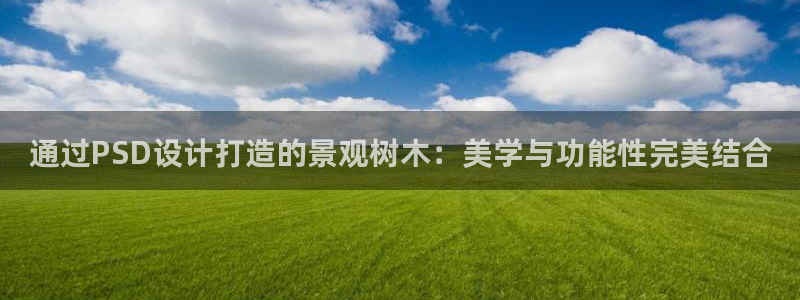 泉州摩根会娱乐张桂花