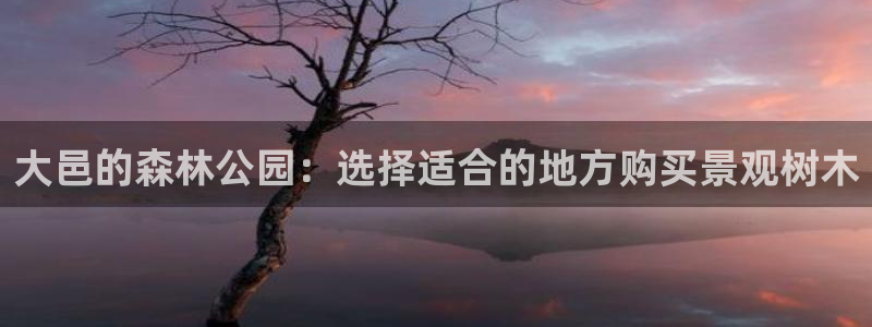 摩根国际娱乐宝官网下载