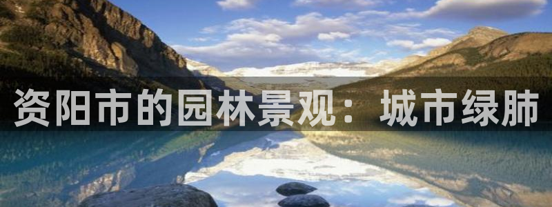 摩根娱乐创始人