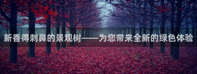 摩根娱乐开户 总s管50015