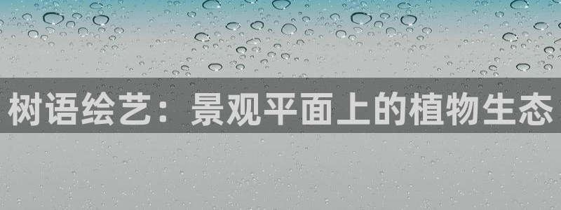 摩根100娱乐会所