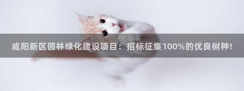 摩根娱乐云挂机项目