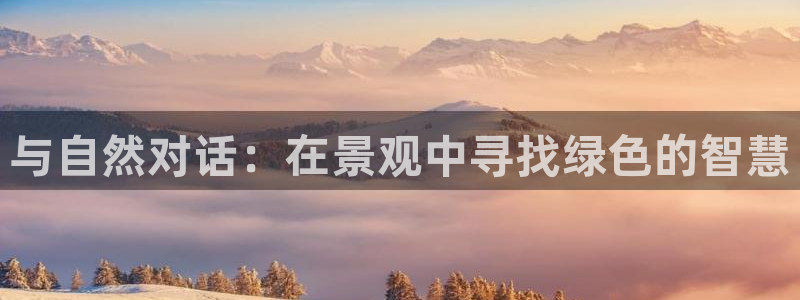 摩根娱乐宝怎么样