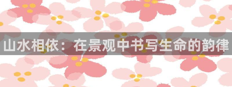 摩根360娱乐