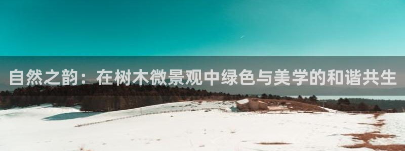 义乌摩根娱乐会所价格