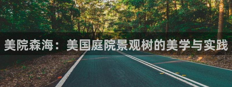 摩根娱乐彩票挂机