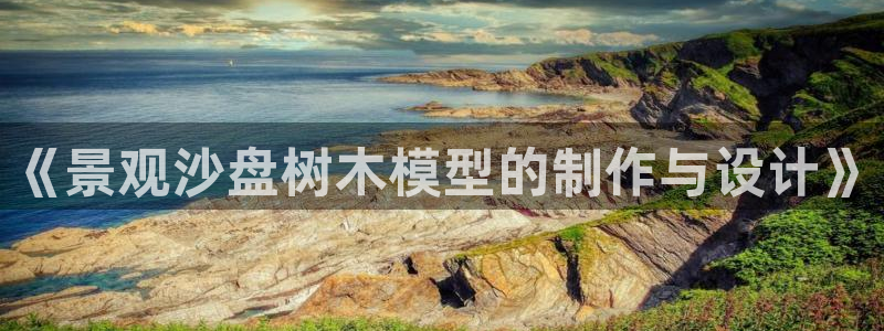 摩根娱乐1老H板50820