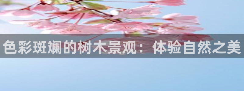 长沙摩根娱乐