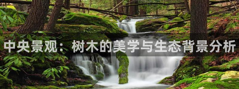摩根娱乐套路