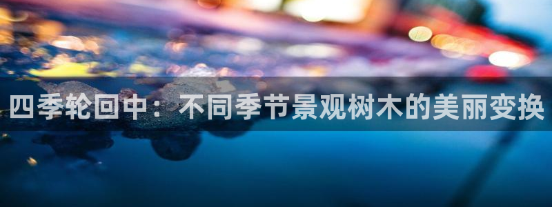 摩根娱乐宝怎么玩：四季轮回中：不同季节景观树木的美丽变换