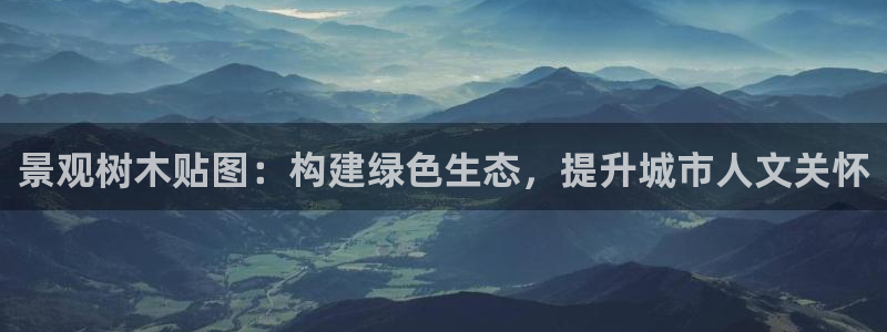 摩根国际 亚太 娱乐宝