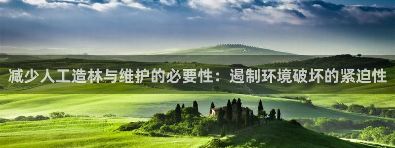 摩根国际娱乐宝在哪里