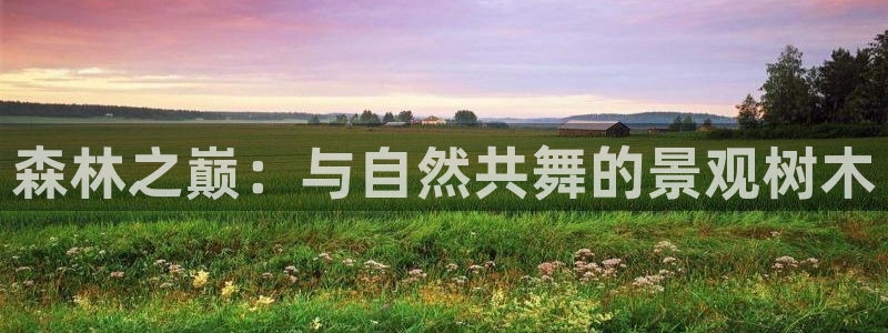 摩根娱乐询问市场总监86738k