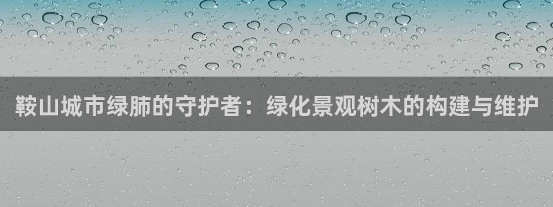 摩根娱乐宝官网百度