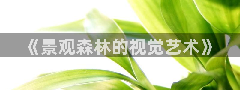 摩根娱乐宝进不去