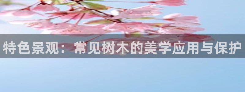 义乌摩根娱乐会所价格