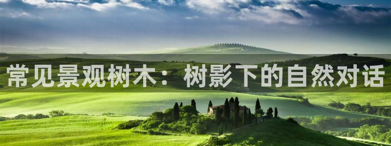 义乌摩根娱乐会所老板
