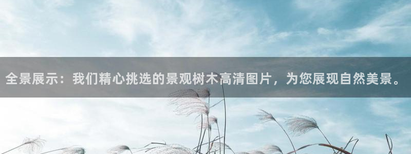 泉州摩根娱乐会所招聘