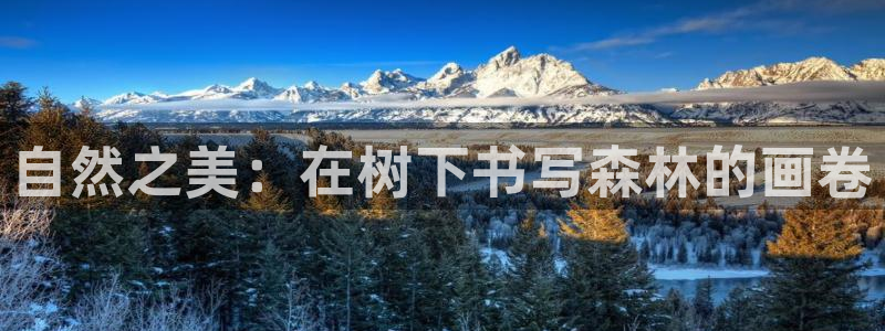 摩根娱乐这个平台怎么样