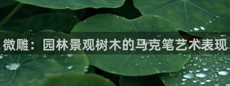 摩根娱乐宝怎么样