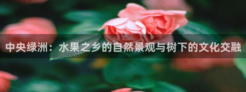 摩根娱乐↑总s管50015