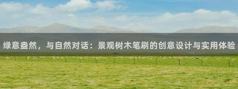 摩根娱乐询问市场总监86738k