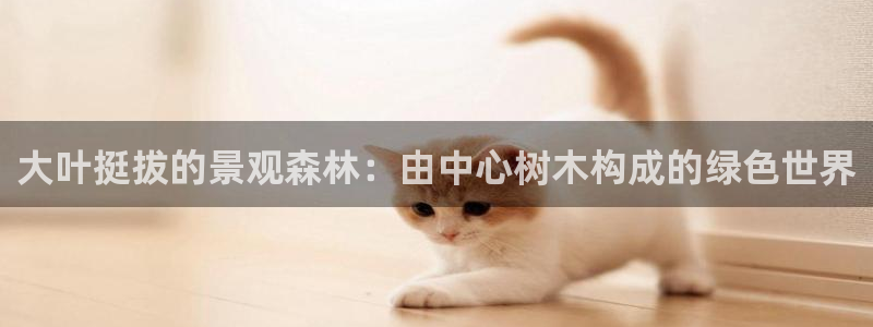 摩根娱乐 总s管50015