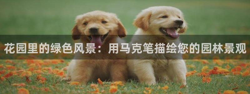 摩根娱乐宝平台下载