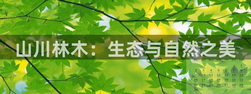 摩根说娱乐：山川林木：生态与自然之美