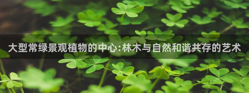 泉州摩根娱乐会所地址