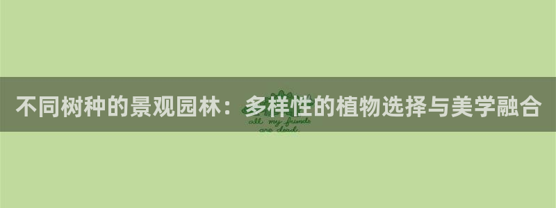 摩根会娱乐会所