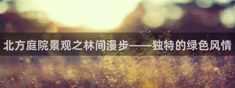 摩根娱乐宝总部招商