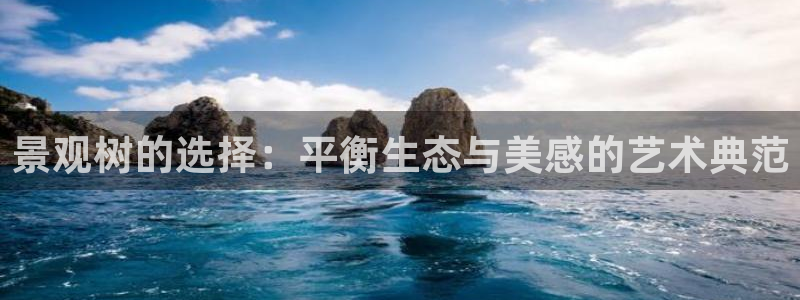 摩根娱乐宝教程