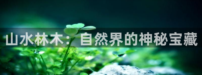 摩根娱乐宝可信吗：山水林木：自然界的神秘宝藏