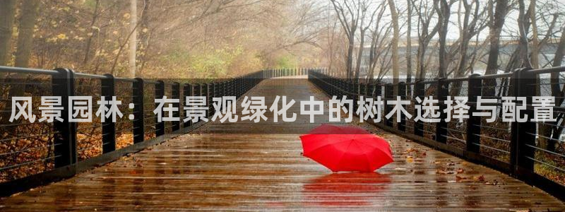 摩根娱乐官网下载