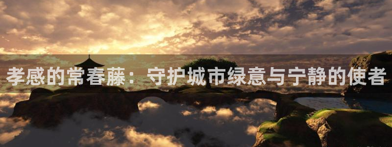 摩根娱乐宝平台