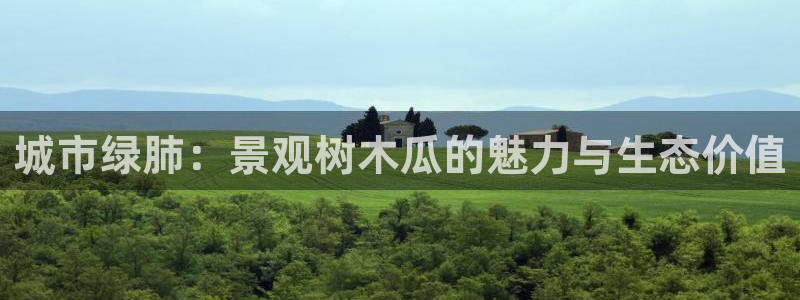 摩根娱乐宝怎么盈利