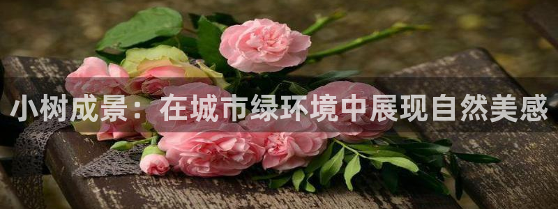 白宫摩根娱乐场所