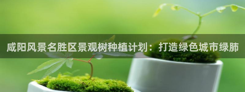 摩根娱乐宝