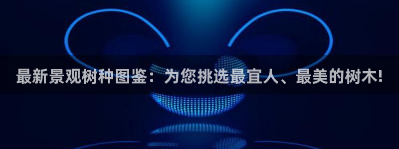 摩根国际娱乐宝官网