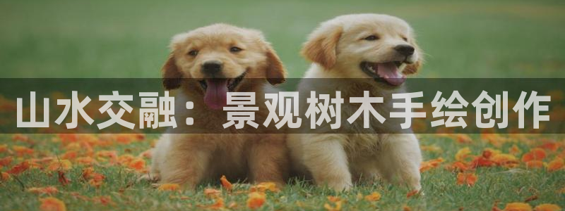 摩根国际娱乐宝书籍